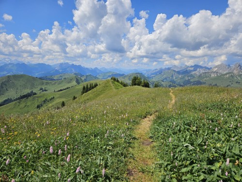 Panorama Alp Szwajcarskich