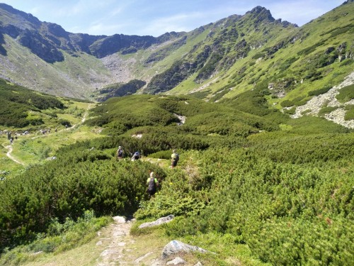 TUryści na szlaku w górach Maramureszu