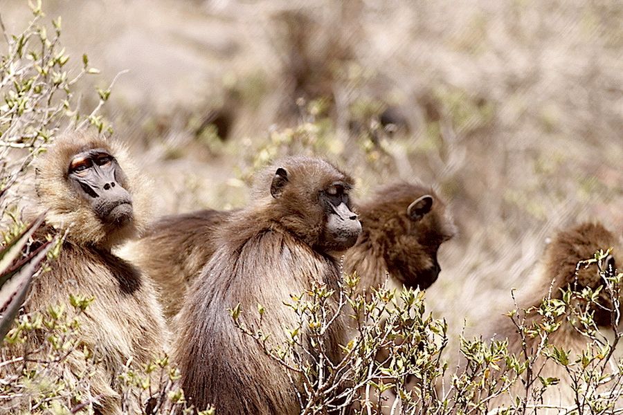 fot. Przemek Kunysz fot. Przemek Kunysz