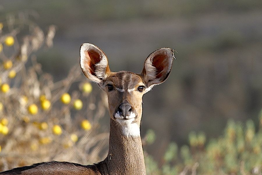 fot. Przemek Kunysz fot. Przemek Kunysz
