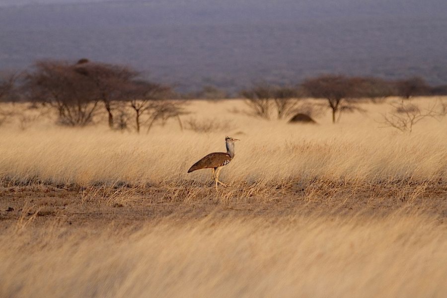 fot. Przemek Kunysz fot. Przemek Kunysz