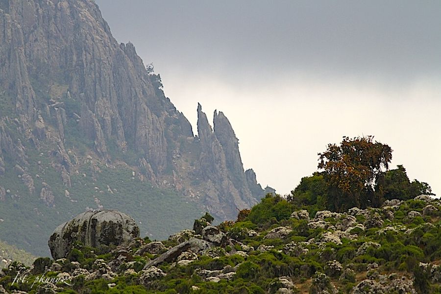 fot. Przemek Kunysz fot. Przemek Kunysz