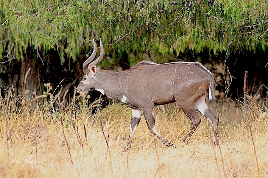 fot. Przemek Kunysz fot. Przemek Kunysz
