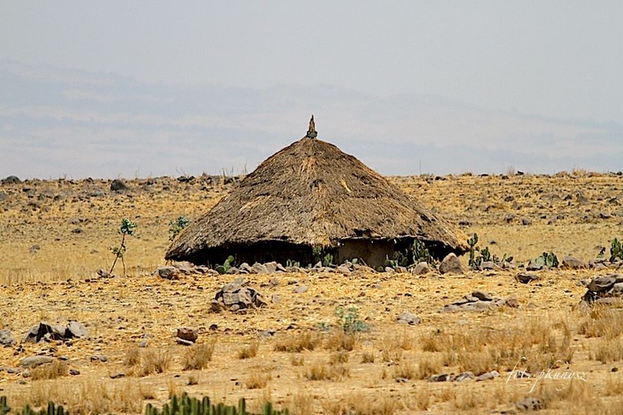 fot. Przemek Kunysz fot. Przemek Kunysz