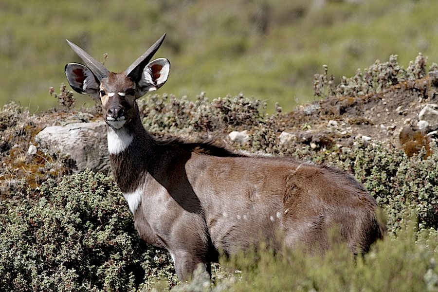 fot. Przemek Kunysz fot. Przemek Kunysz