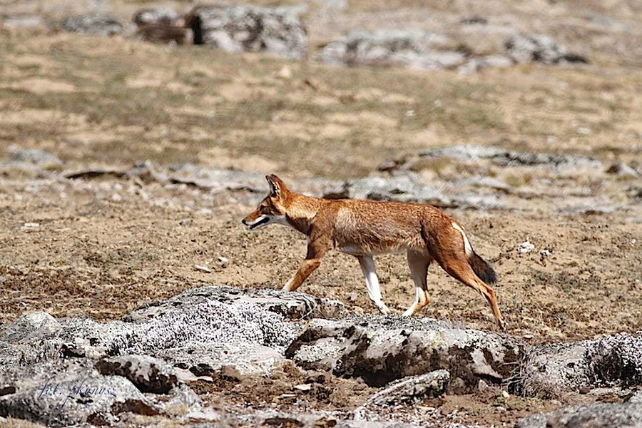 fot. Przemek Kunysz fot. Przemek Kunysz