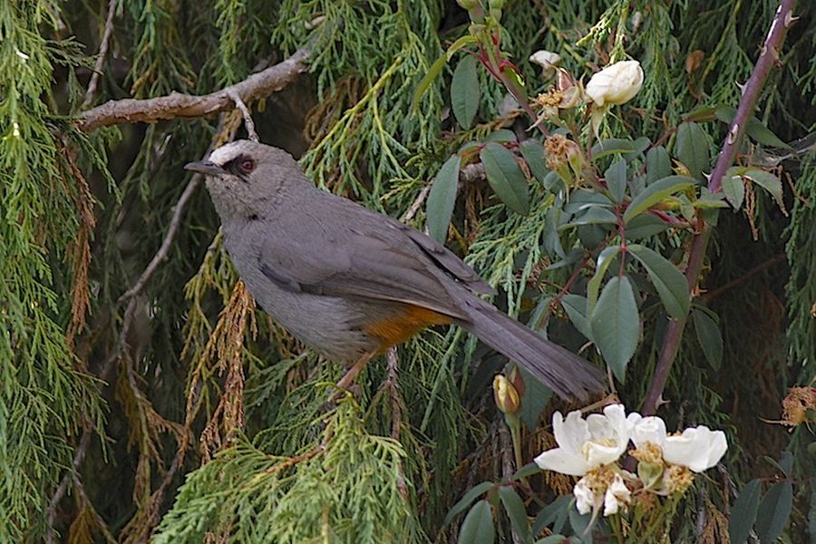 fot. Przemek Kunysz fot. Przemek Kunysz