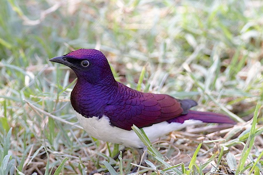 fot. Przemek Kunysz fot. Przemek Kunysz