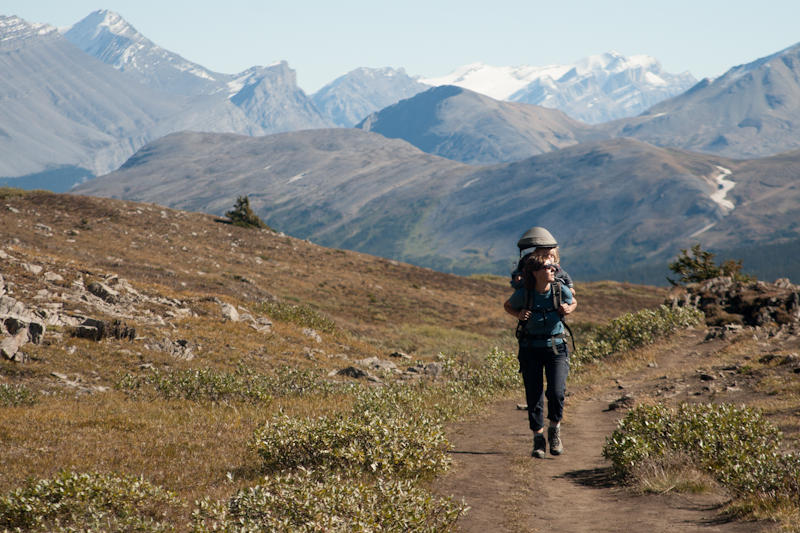 Wędrówka przez Willcox Pass (fot. Beata Muchowska) Wędrówka przez Willcox Pass (fot. Beata Muchowska)