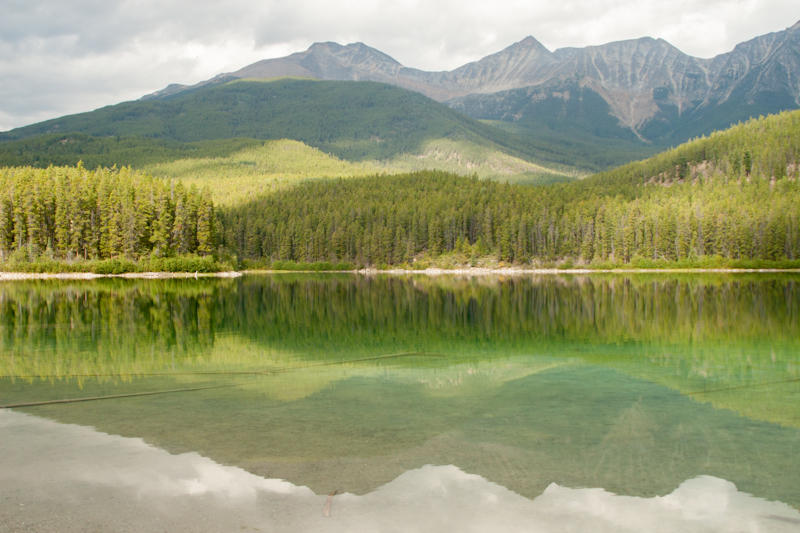 fot. Beata Muchowska fot. Beata Muchowska