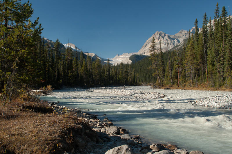 Rwąca rzeka Yoho (fot. Beata Muchowska) Rwąca rzeka Yoho (fot. Beata Muchowska)