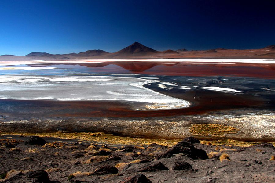 fot. Katarzyna Miłek