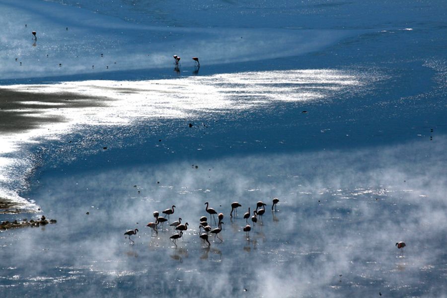 fot. Katarzyna Miłek
