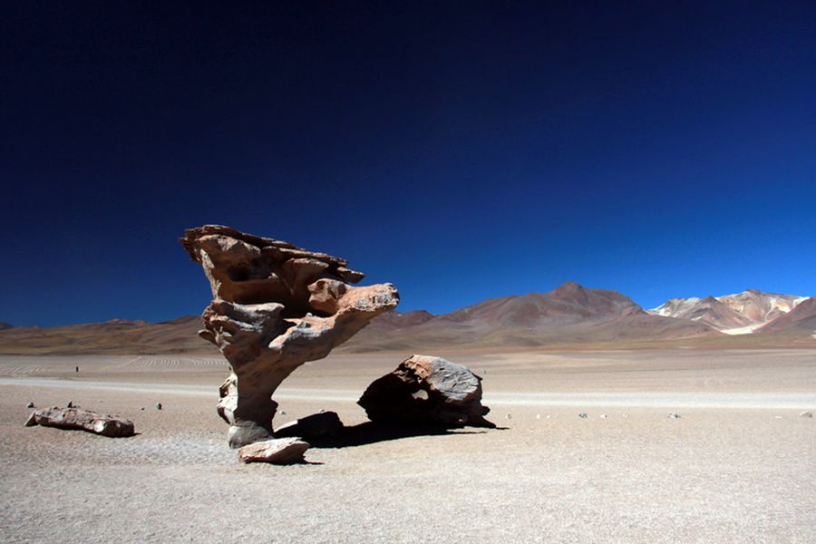 fot. Katarzyna Miłek