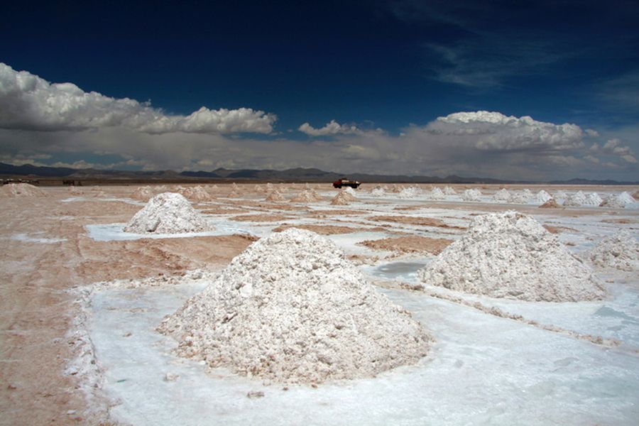 fot. Katarzyna Miłek