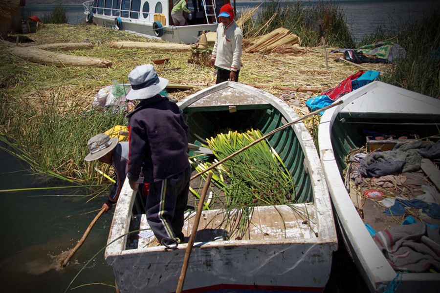 fot. Katarzyna Miłek