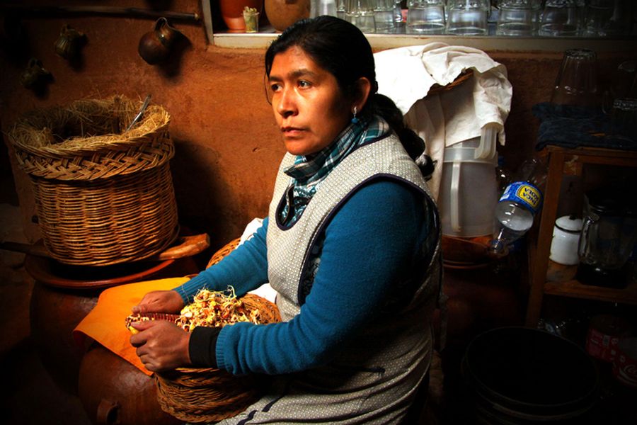 fot. Katarzyna Miłek