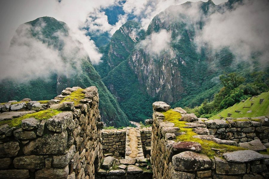 fot. Katarzyna Miłek