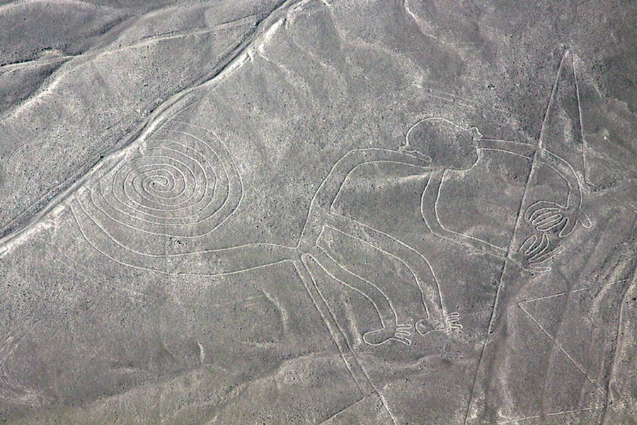 fot. Katarzyna Miłek