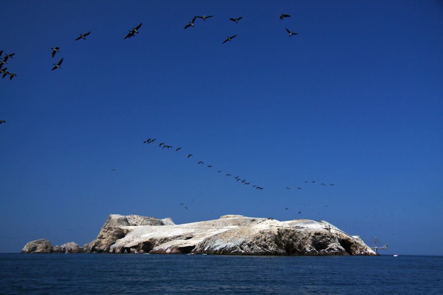 fot. Katarzyna Miłek