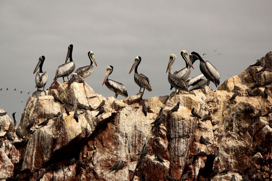 fot. Katarzyna Miłek