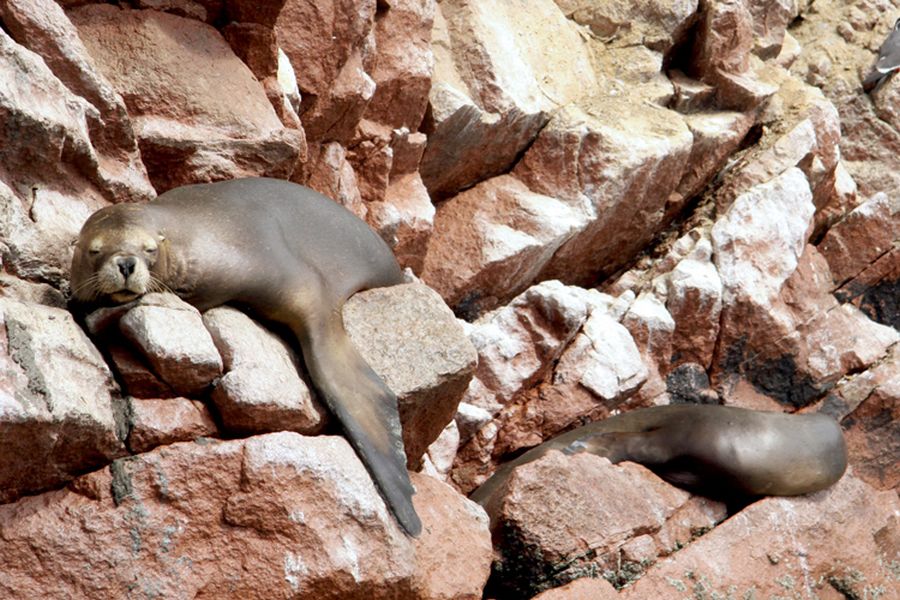 fot. Katarzyna Miłek