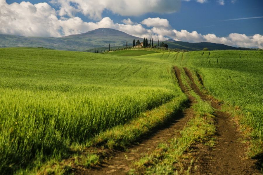 Fot. Adam Jankowski Fot. Adam Jankowski