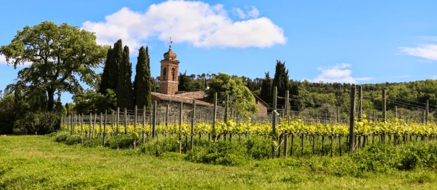 Fot. Adam Jankowski Fot. Adam Jankowski