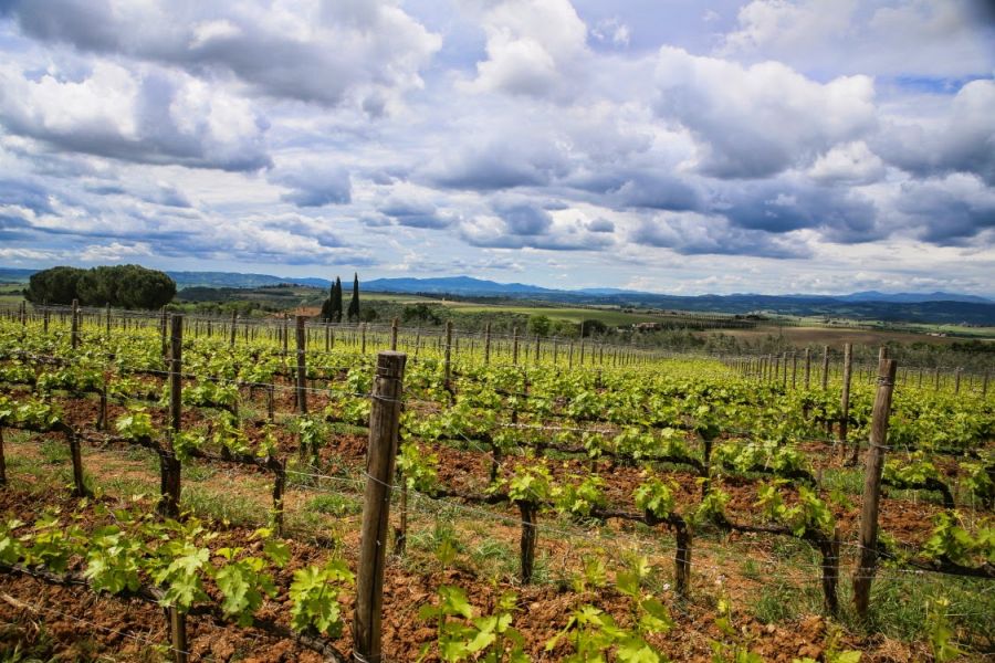 Fot. Adam Jankowski Fot. Adam Jankowski