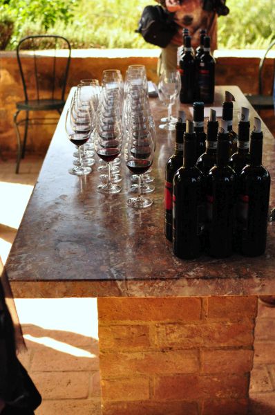 Fot. Monika Socha Fot. Monika Socha