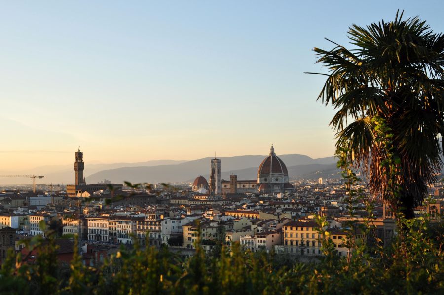 Fot. Monika Socha Fot. Monika Socha