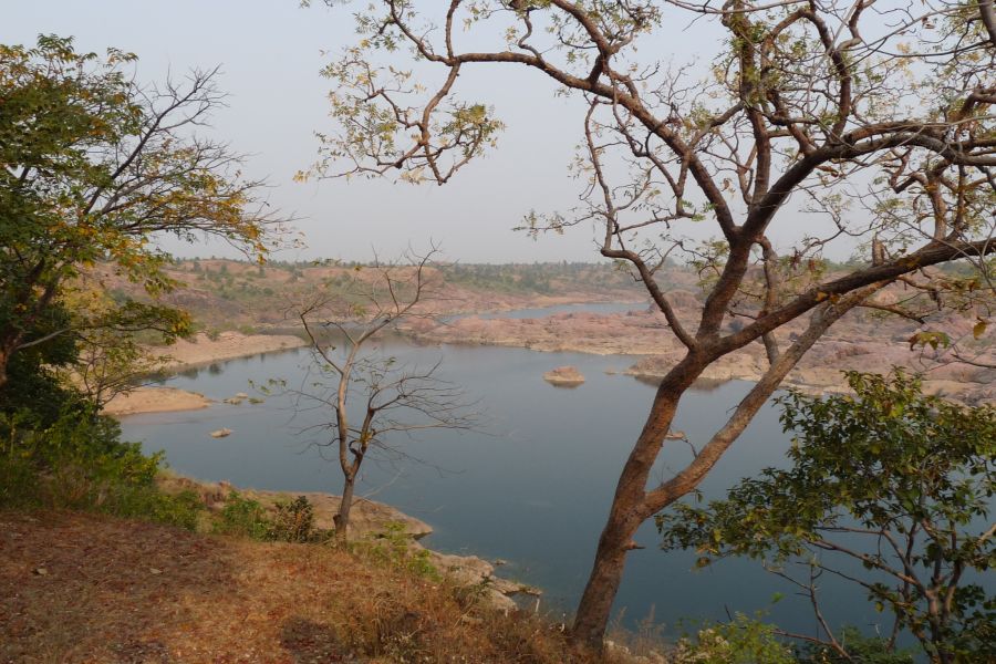 fot. Darek Dąbrowski fot. Darek Dąbrowski