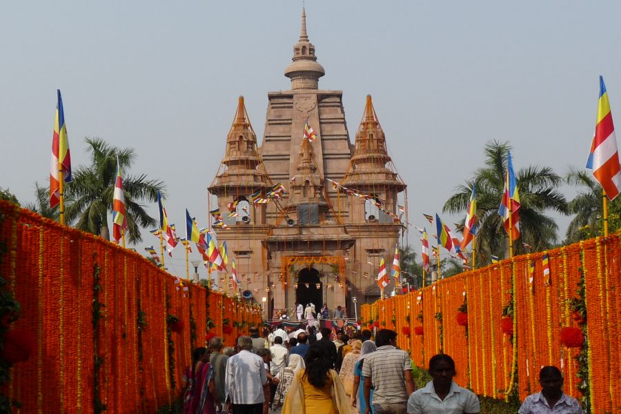 fot. Darek Dąbrowski fot. Darek Dąbrowski