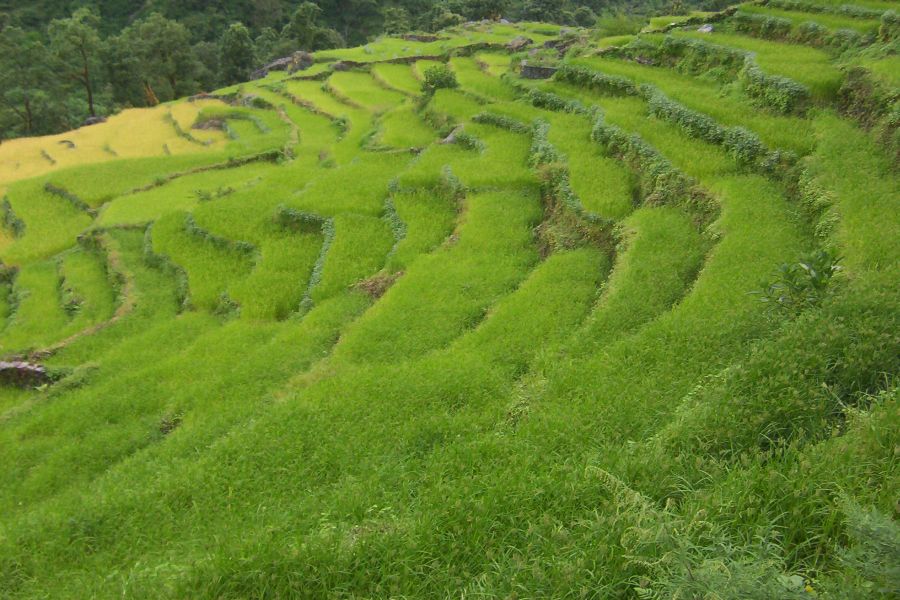 fot. Darek Dąbrowski fot. Darek Dąbrowski