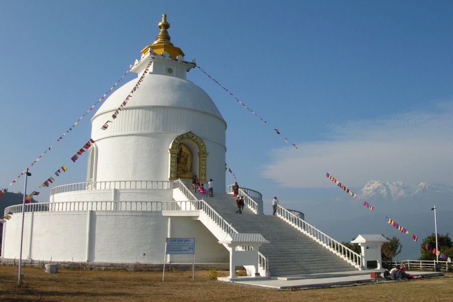 fot. Darek Dąbrowski fot. Darek Dąbrowski