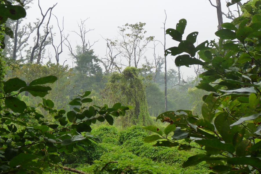 fot. Darek Dąbrowski fot. Darek Dąbrowski