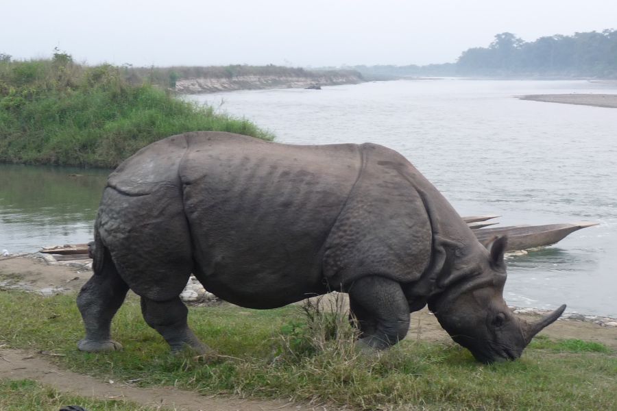 fot. Darek Dąbrowski fot. Darek Dąbrowski