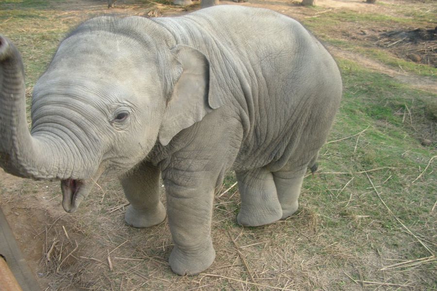 fot. Darek Dąbrowski fot. Darek Dąbrowski