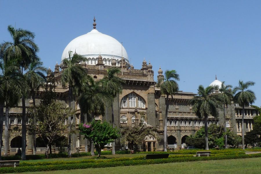 fot. Darek Dąbrowski fot. Darek Dąbrowski