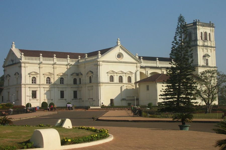 fot. Darek Dąbrowski fot. Darek Dąbrowski