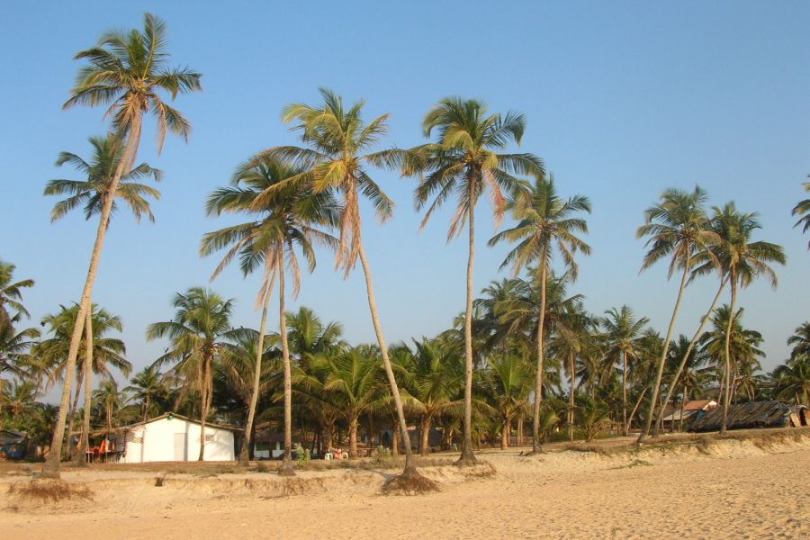 fot. Darek Dąbrowski fot. Darek Dąbrowski