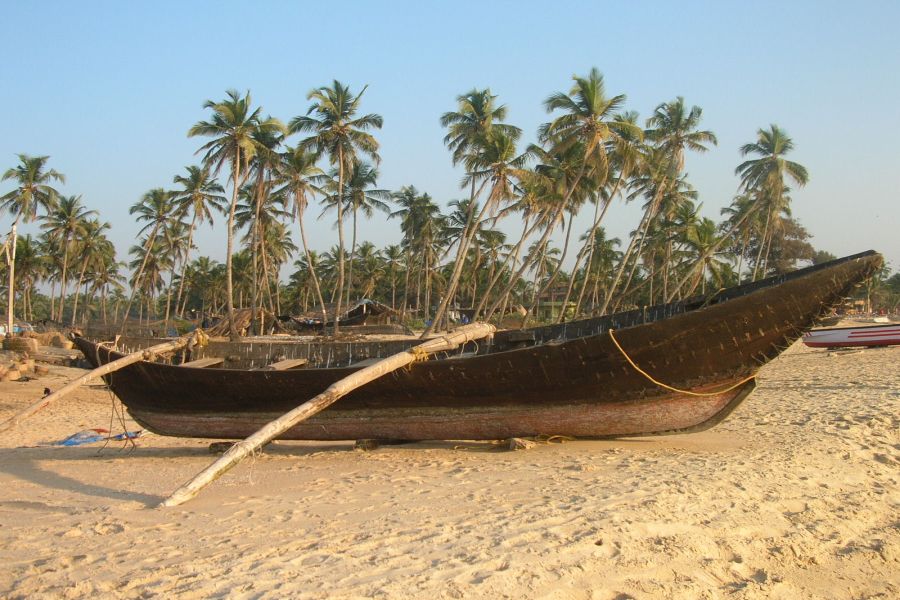 fot. Darek Dąbrowski fot. Darek Dąbrowski