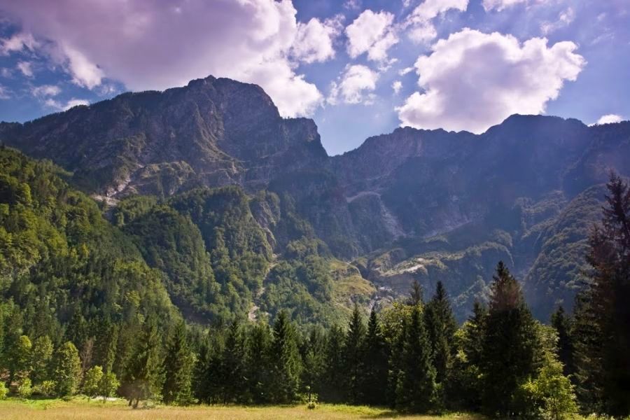 fot. Marcin Gadziński