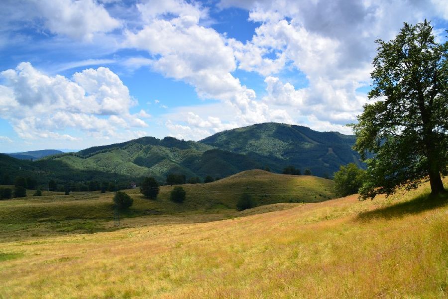 fot. Małgorzata Kowalczyk fot. Małgorzata Kowalczyk