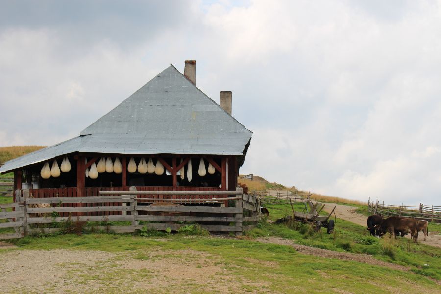 fot. Kinga Dąbkowska fot. Kinga Dąbkowska