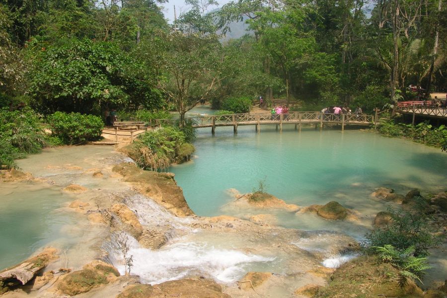 fot. Darek Dąbrowski