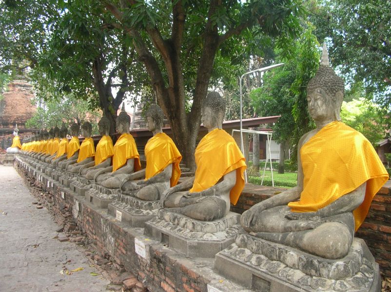 fot. Darek Dąbrowski fot. Darek Dąbrowski