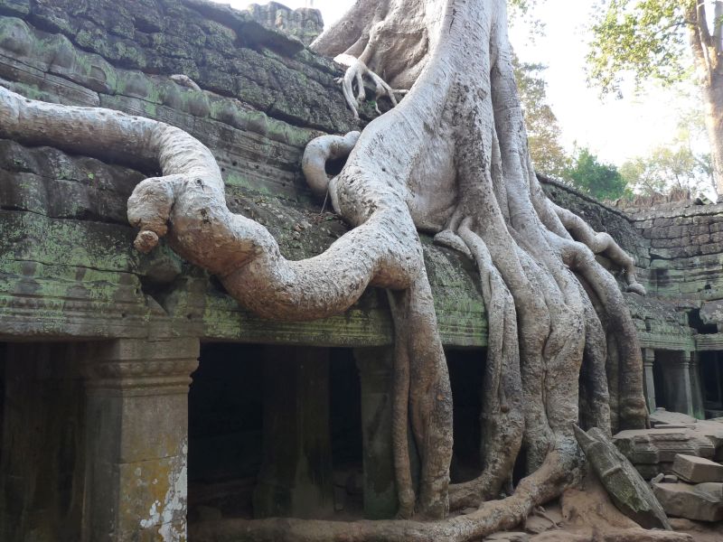 fot. Darek Dąbrowski fot. Darek Dąbrowski