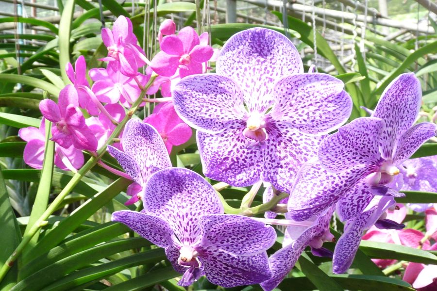 fot. Darek Dąbrowski fot. Darek Dąbrowski