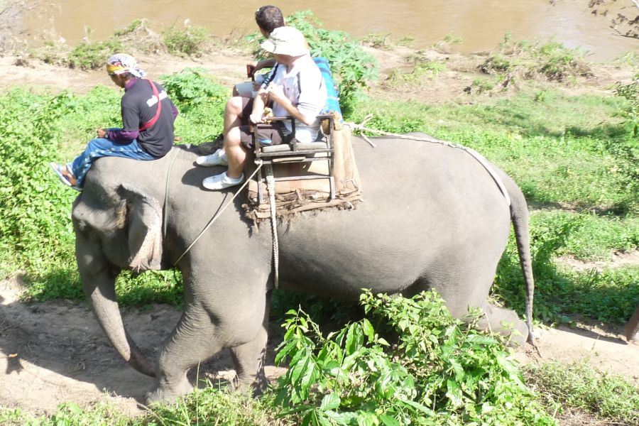 fot. Darek Dąbrowski fot. Darek Dąbrowski